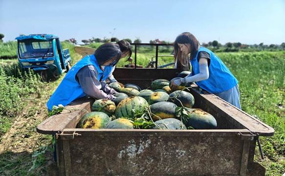 2MZC9Z9V33GX%6_EG~IXPSF_tmb